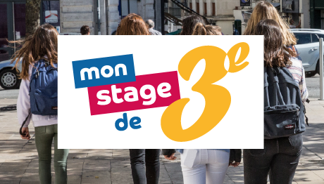 Mon stage de 3ème